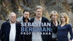 Sebastian Bergman: Profil vraha