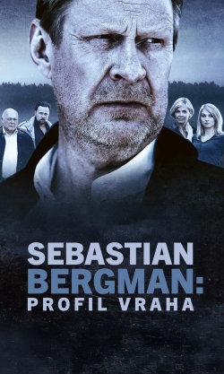 Sebastian Bergman: Profil vraha