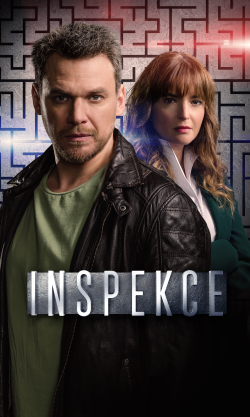 Inspekce