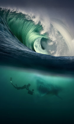 Tajemný severní Atlantik