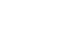 Honba za úlovkem