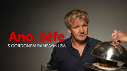 Ano, šéfe s Gordonem Ramsaym USA