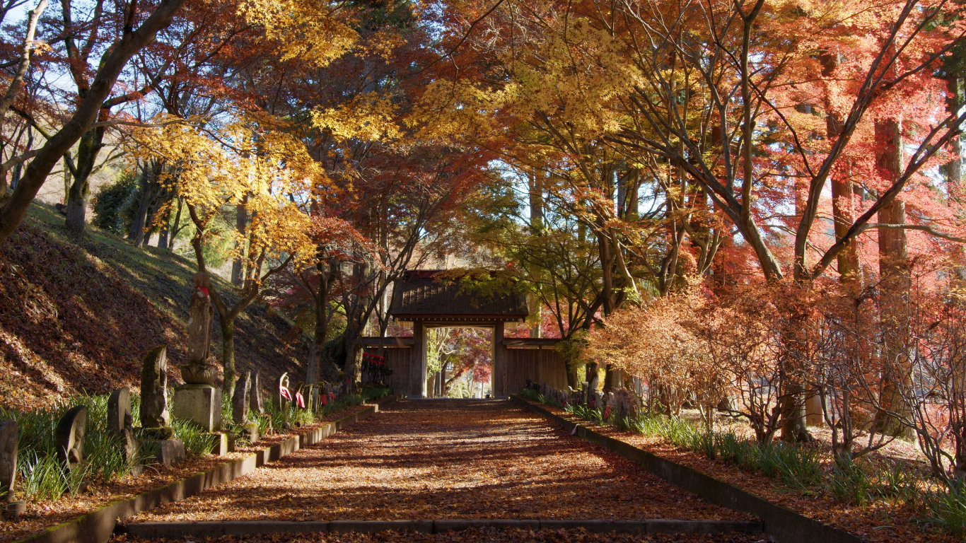 Japonsko: Kouzlo ročních období