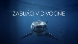Zabijáci v divočině