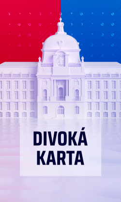 Divoká karta