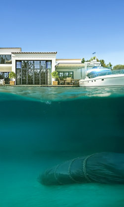 Vraždy milionářů