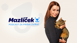 Prima mazlíček