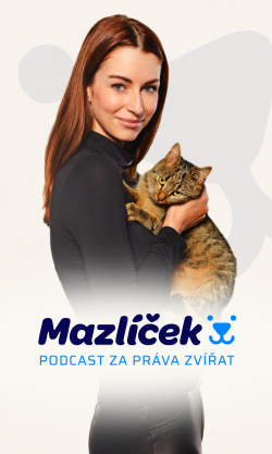 Prima mazlíček