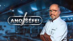 Ano, šéfe!