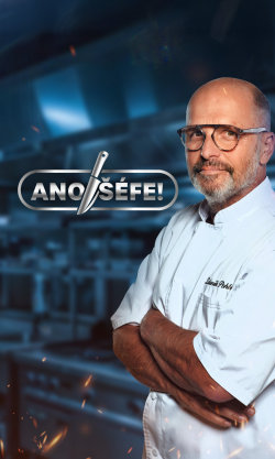 Ano, šéfe!