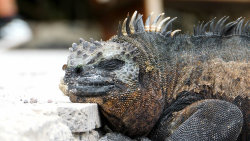 Galapágy: Na konci světa
