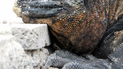 Galapágy: Na konci světa