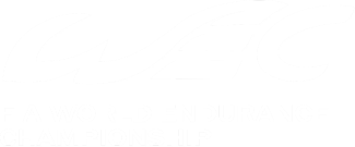 FIA WEC