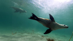 Nejdivočejší místa naší planety