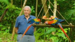 Život v barvě s Davidem Attenboroughem