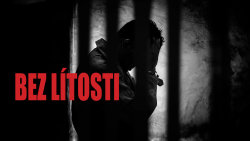 Bez lítosti