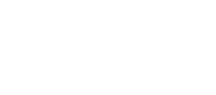 Divocí koně