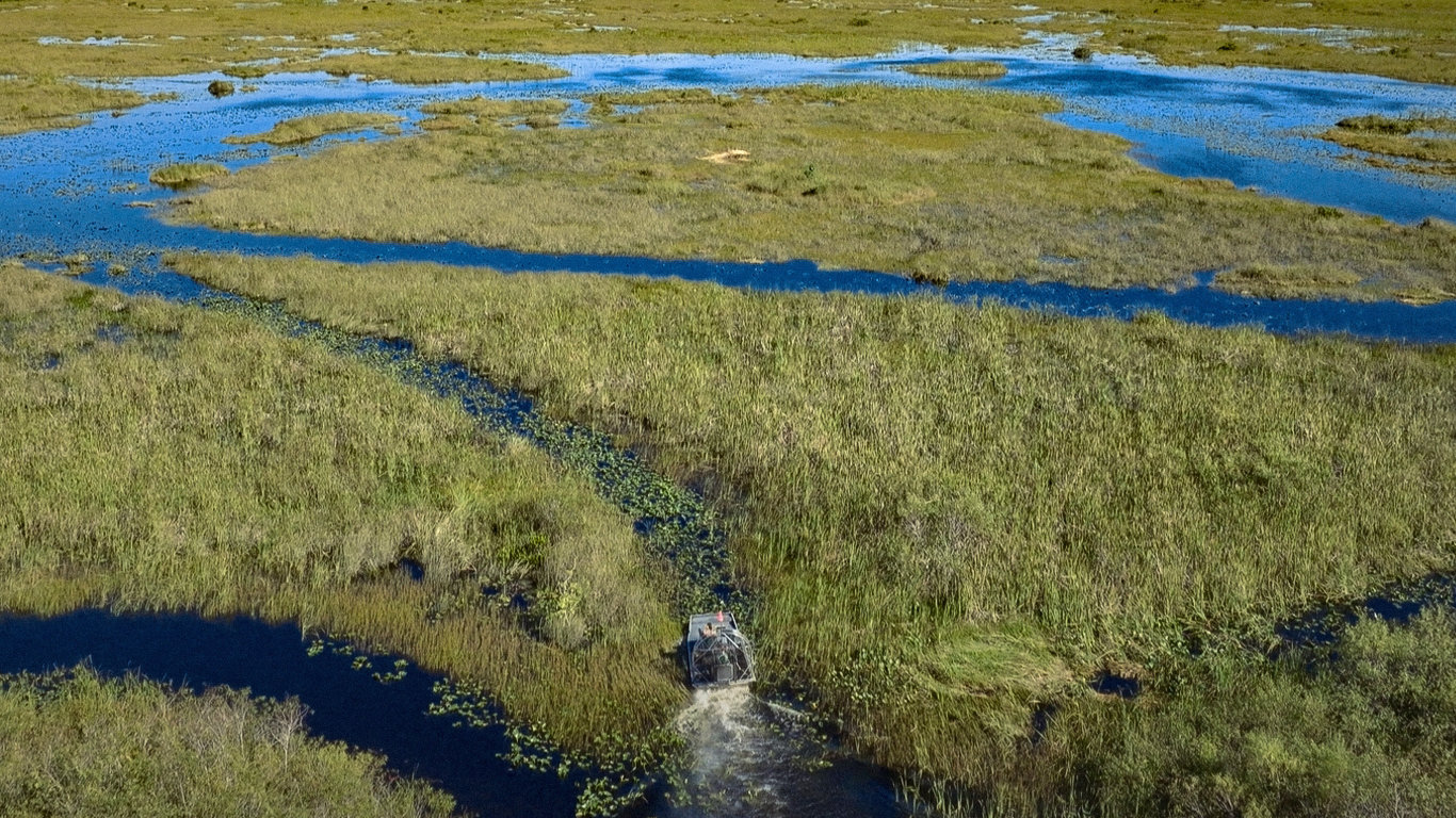 Mokřady: Pomíjivé oázy