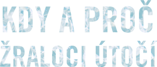 Kdy a proč žraloci útočí