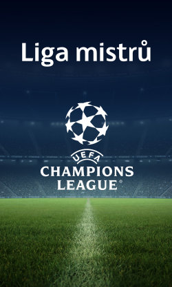 Liga mistrů UEFA