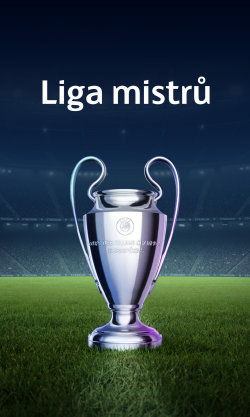 Liga mistrů UEFA