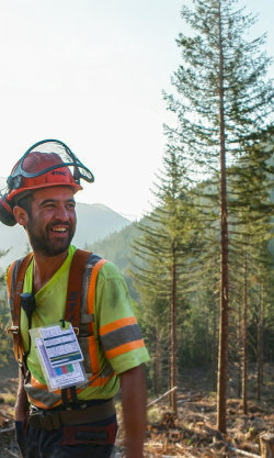 Dřevařští titáni