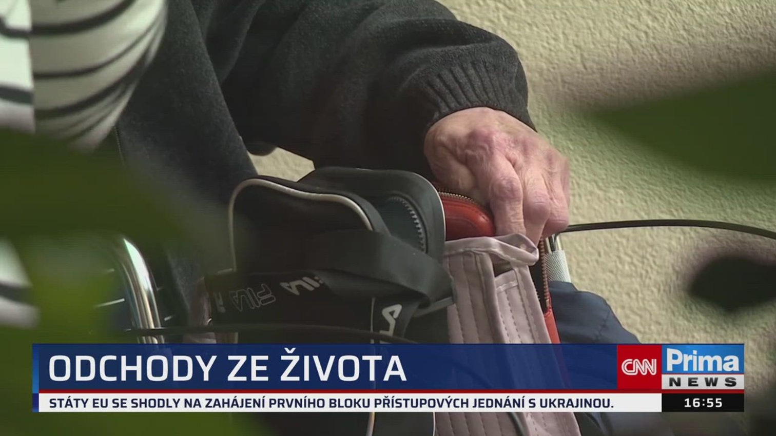 Náhled videa