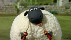Trénujte s Shaun