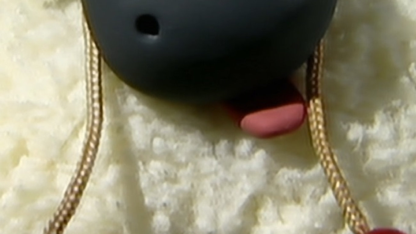 Trénujte s Shaun