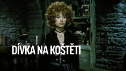 Dívka na koštěti