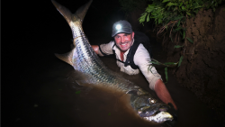 Nikaragujští rváči 1/4