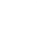 Mysli jako pes