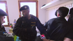 Policie v akci