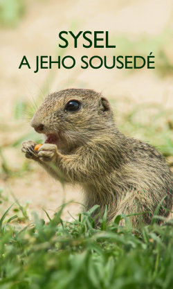 Sysel a jeho sousedé