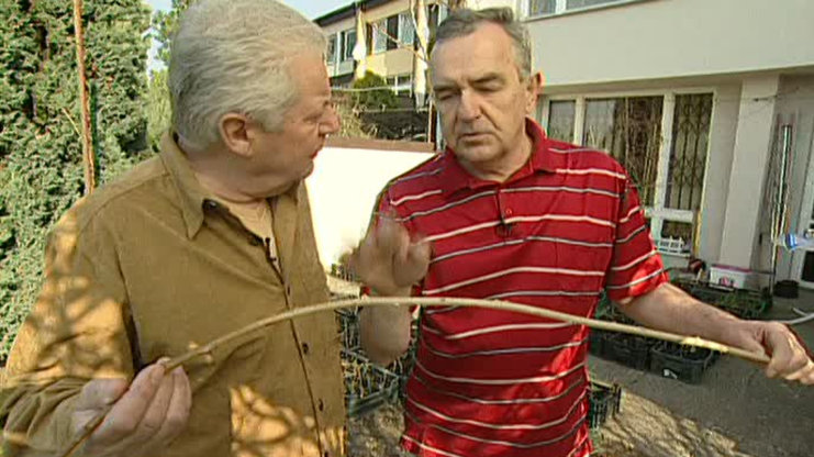 Receptář prima nápadů 2006 (15)