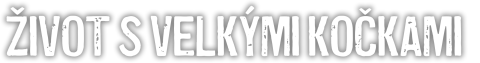 Život s velkými kočkami
