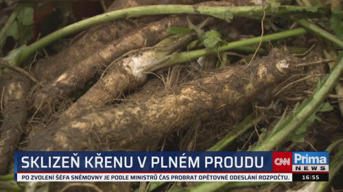 ZPRÁVY Z REGIONŮ - 6.11. v 16:55