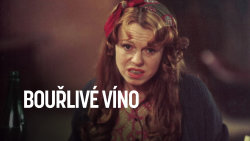 Bouřlivé víno