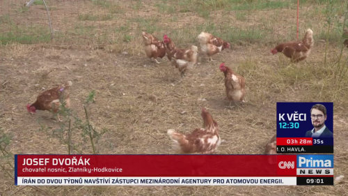 ZPRÁVY - 29.7. v 09:00