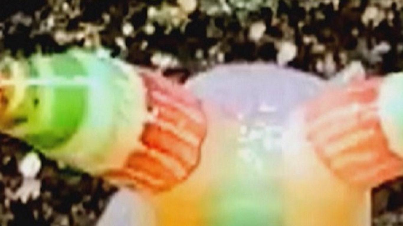 Epizoda 8