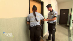 Policie v akci