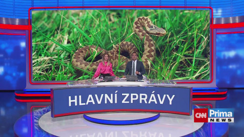 Zmije v Pošumaví