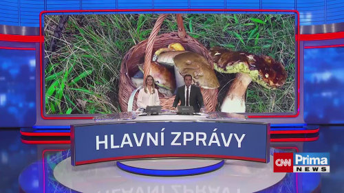 Houbařské žně