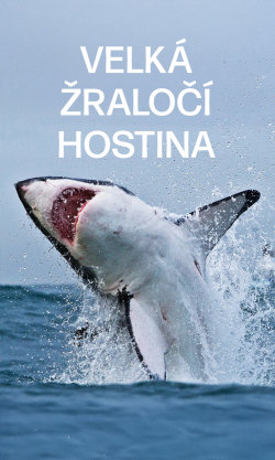 Velká žraločí hostina