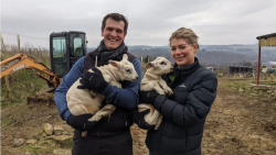 Veterinář z Yorkshiru
