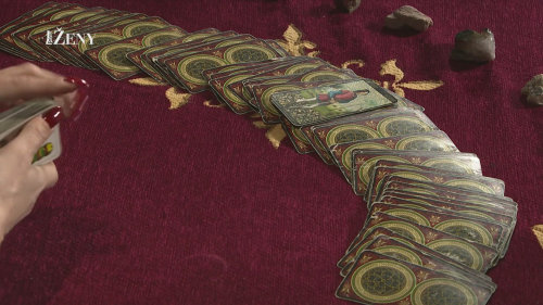 RYBY – týden 4.5. – 11.5.2026