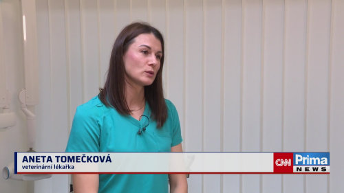 Klíšťata už nejsou jen sezónní záležitost
