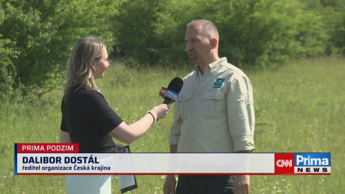 Prima ROK - 9.11. v 17:35