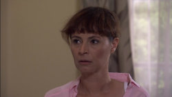 Cesty domů