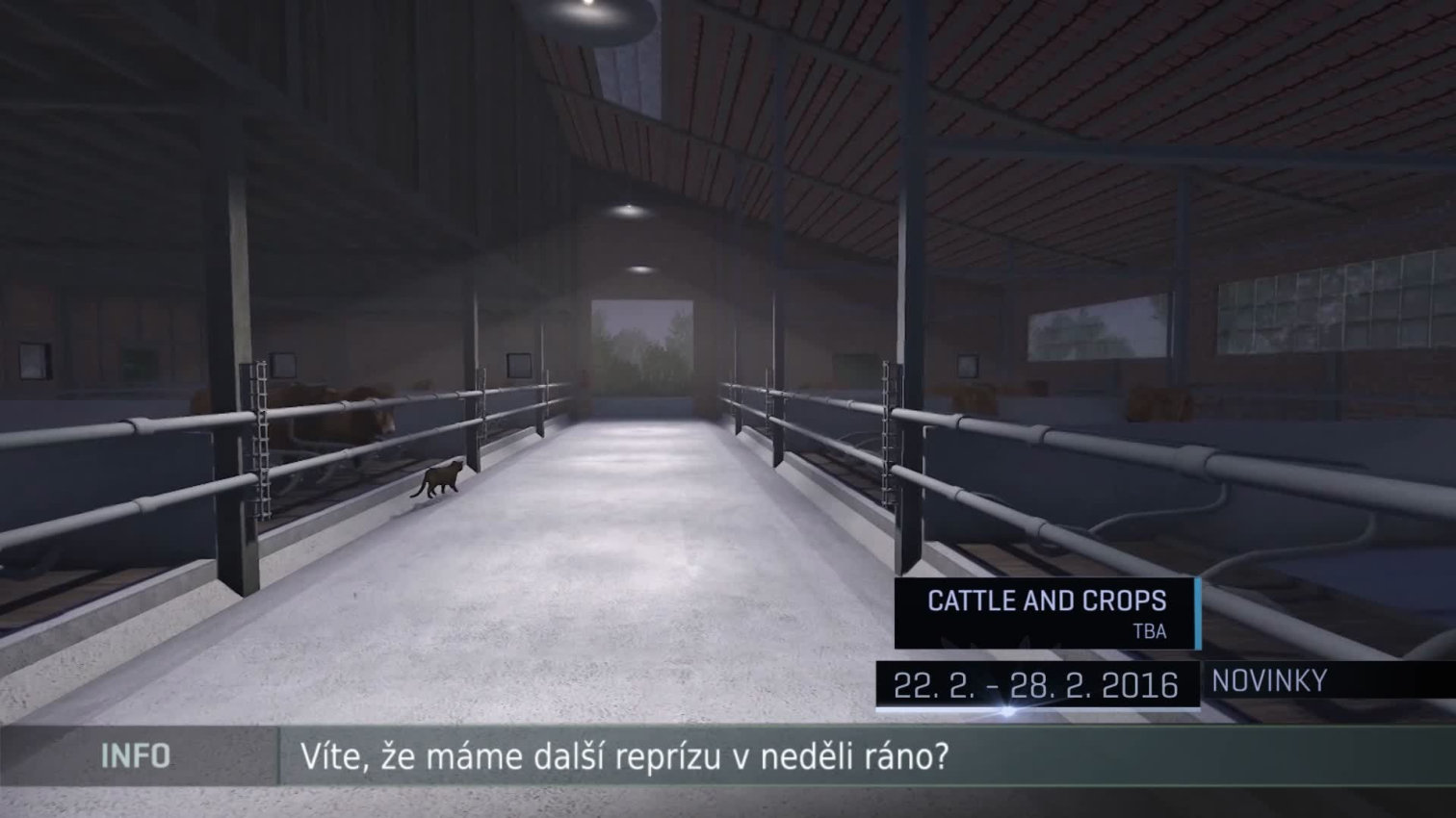 Náhled videa